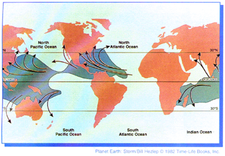 cyclone tracks